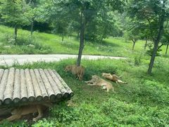 -西安秦岭野生动物园