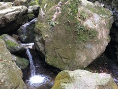 -藏龙百瀑风景区