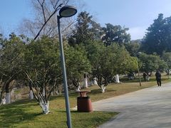 -阳澄湖费尔蒙酒店