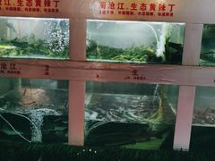 -秋语木桶鱼.酸菜鱼(开发区火车站店)