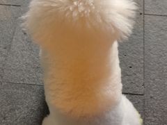 -FAELING PETS美天灵宠物(合生汇店)