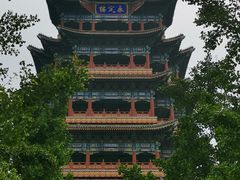 -永定河休闲森林公园