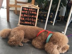 -沙青(江场二路店)