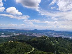 -阳台山森林公园