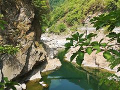 -黑河国家森林公园