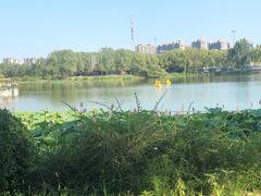 景点-朝阳公园