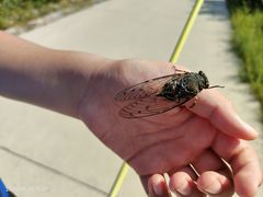 -北京西山国家森林公园