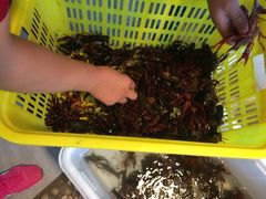 iphone_upload_pic-白洋淀锅里口灶台鱼