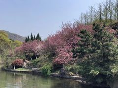 -白马涧龙池景区