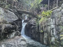 -松树干拌面店