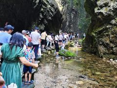 -牛背梁国家森林公园