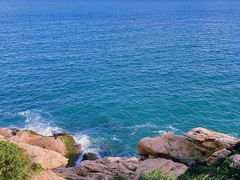 -广东惠东海龟国家级自然保护区