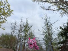 -南宫五洲植物乐园