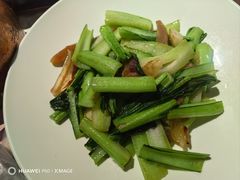 -大鸽饭(动物园店)