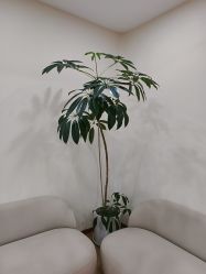 -HEYAN荷妍专业脱毛连锁机构