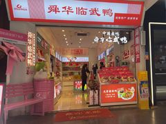 -舜华临武鸭·湖南零食特产(三王街店)