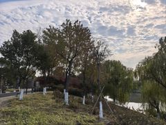 -江滩湿地公园