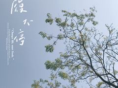 -大塘金香草谷