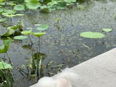 -素心小筑(后沙裕镇店)