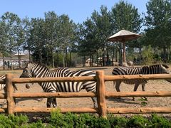 -大连森林动物园