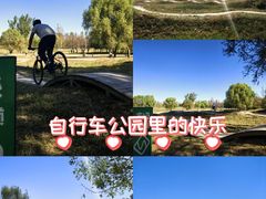 -乐行自行车运动乐园