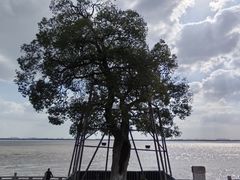 -观潮胜地公园