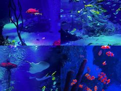 -沈阳海洋探索中心