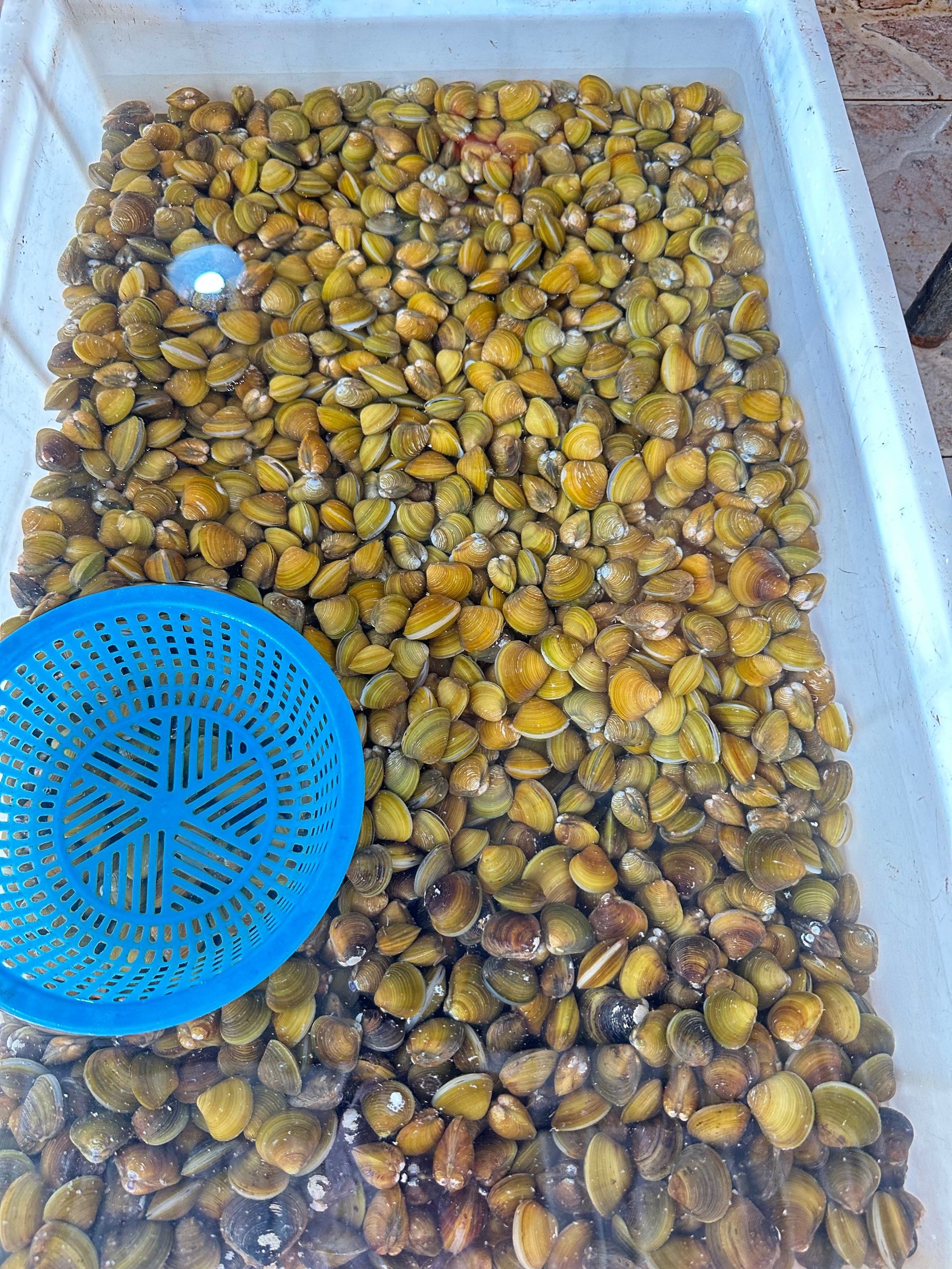 睦州正宗的黄沙蚬,可惜这间花生油放太多了