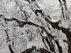-海螺沟风景区