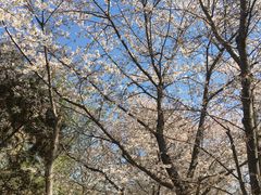 -北京植物园-展览温室