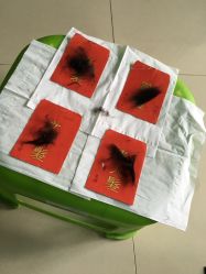 -天禧专业理胎发纪念品乐园·婴儿宝宝理发剃胎毛胎头胎毛笔定制店