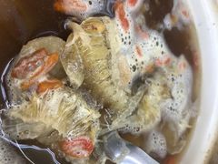 清汤鱼翅（小）-义福巷鱼翅燕窝