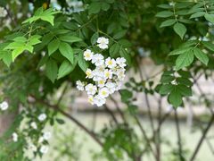 -奉浦四季生态园