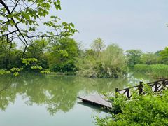 -西溪国家湿地公园