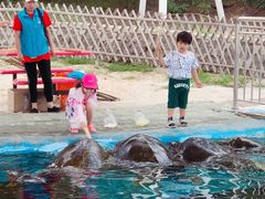 -北戴河圣蓝海洋公园