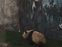 -鄂尔多斯野生动物园