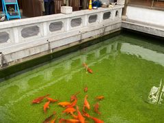 -麒麟小院·老九江菜(安平路店)