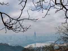 -紫金山山顶公园