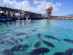 -海南分界洲岛旅游区