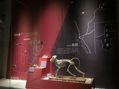 -国家自然博物馆