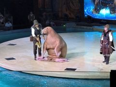 -哈尔滨波塞冬海底世界