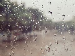 -鲜芋仙(中华广场店)