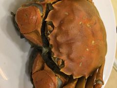 -王宝和酒家(黄浦店)