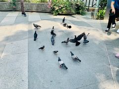 -詹爷爷乌节路街头冰淇淋