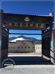 -纳帕海依拉草原