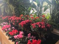 -慢丽江·云南野生菌土鸡锅(西山店)