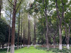 -后襄河公园