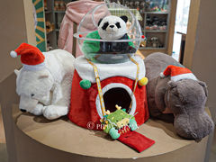 -ZOO COFFEE动物园咖啡(红山森林动物园店)