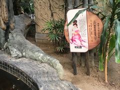 -龙达温泉生态城
