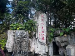 -广州市流溪河国家森林公园